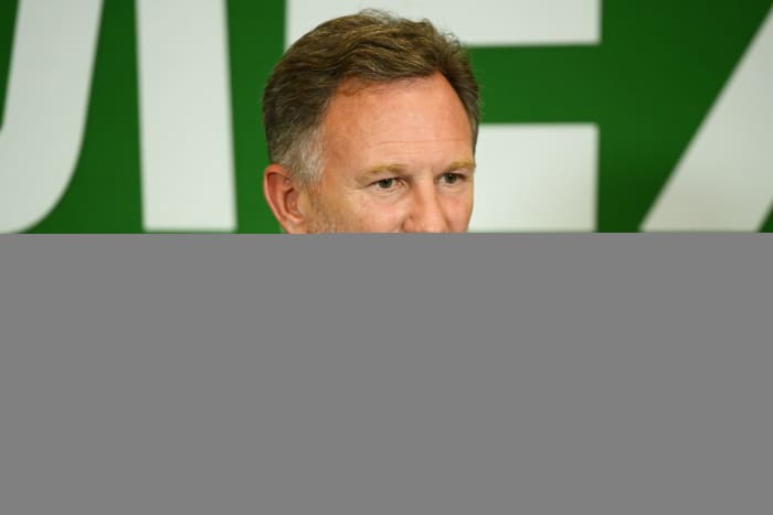 Christian Horner Red Bull (16)